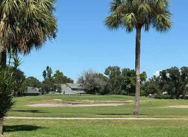 a view of a yard with a palm trees