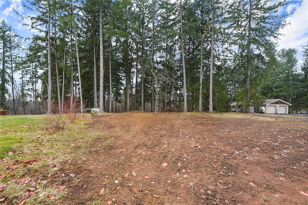 657 Ridge Road Pittsburgh, PA 15205 - Photo 28 of 30 a view of a yard with large trees