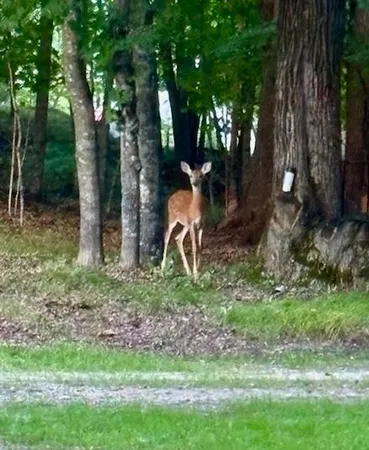 $524,900 | 17135 200 Street, Lake Park, MN 56554