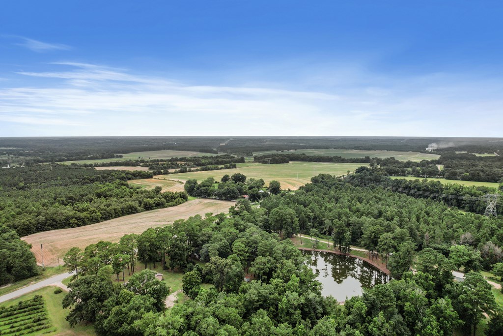 6850 North Co Road Columbia, AL 36319 - Photo 58 of 81