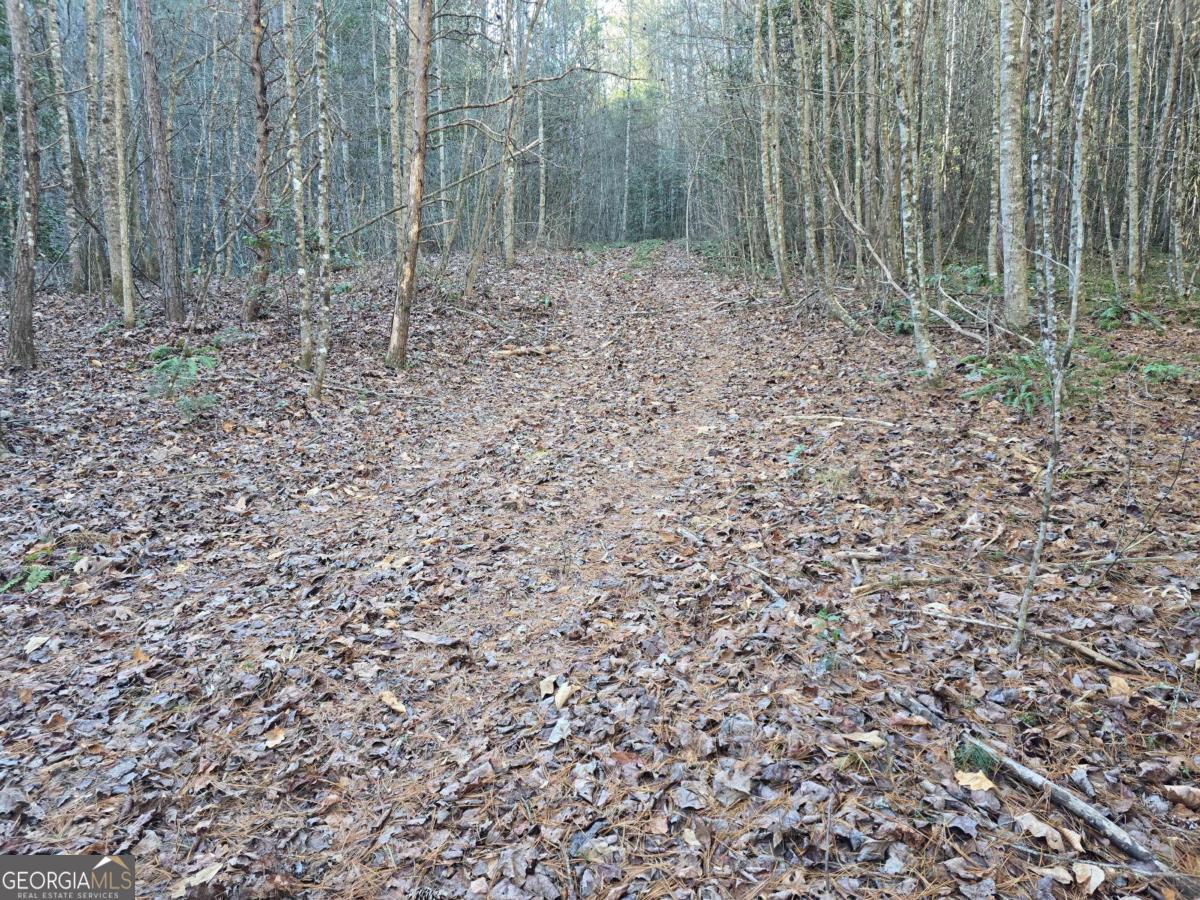 92.51 Adventure Ranch Road Murphy, NC 28906 - Photo 6 of 8