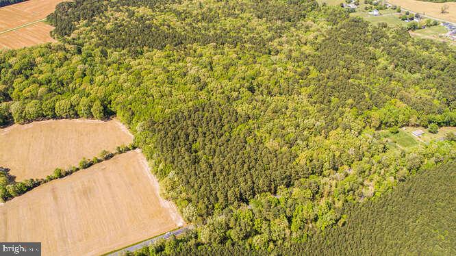 Curleys Rd Ridge Ridge, MD 20680 - Photo 11 of 19