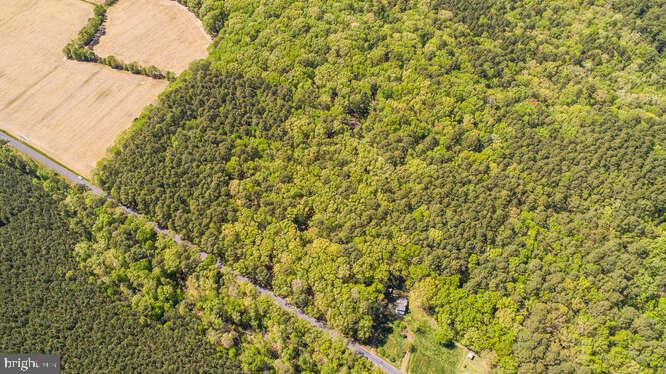 Curleys Rd Ridge Ridge, MD 20680 - Photo 13 of 19