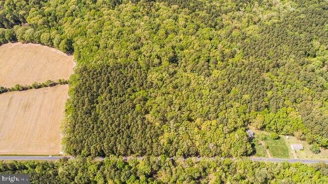Curleys Rd Ridge Ridge, MD 20680 - Photo 14 of 19