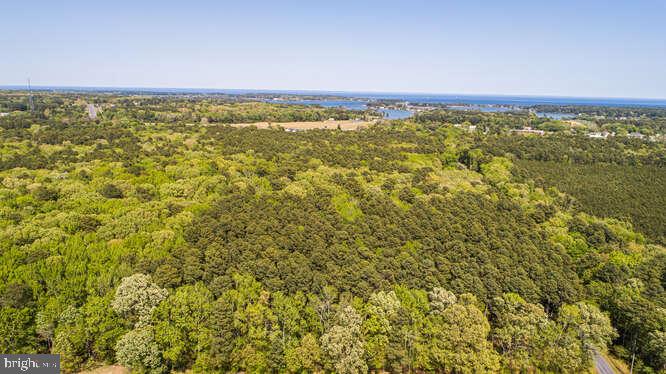 Curleys Rd Ridge Ridge, MD 20680 - Photo 18 of 19