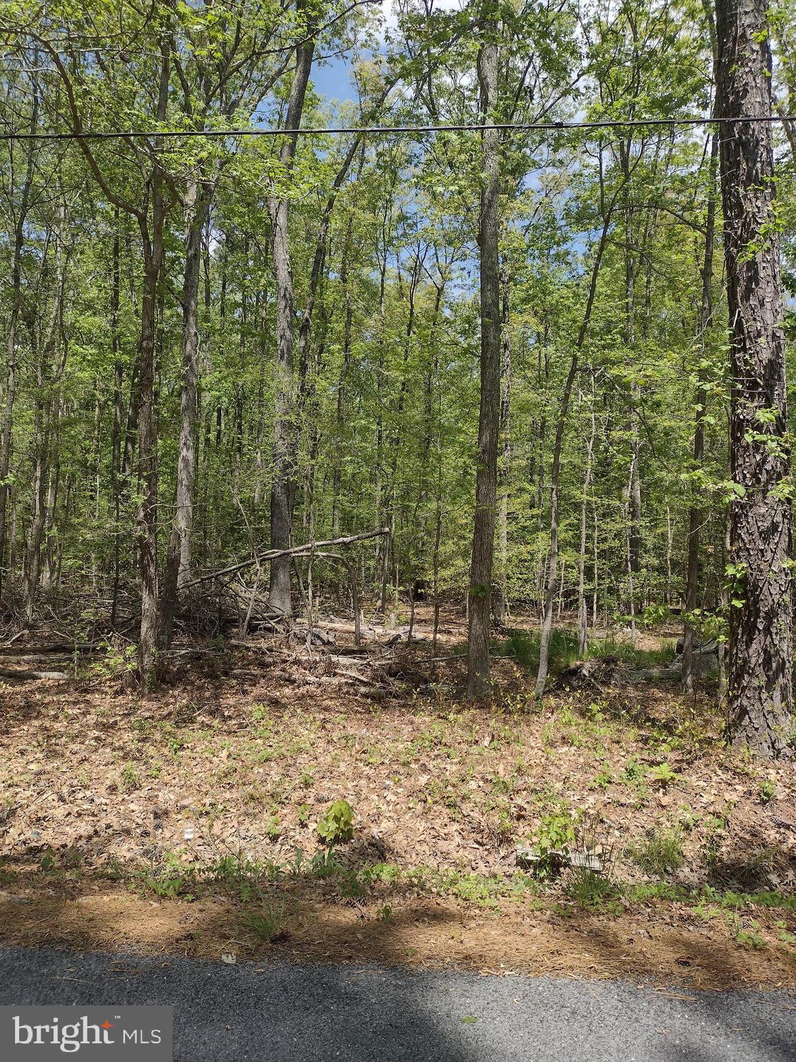 Curleys Rd Ridge Ridge, MD 20680 - Photo 2 of 19