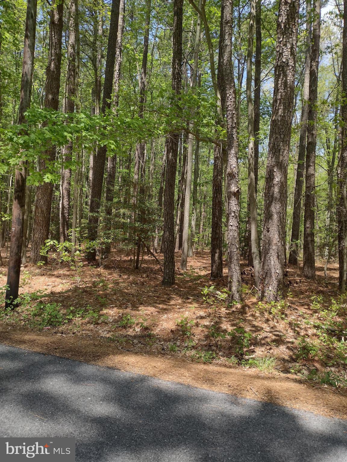 Curleys Rd Ridge Ridge, MD 20680 - Photo 3 of 19