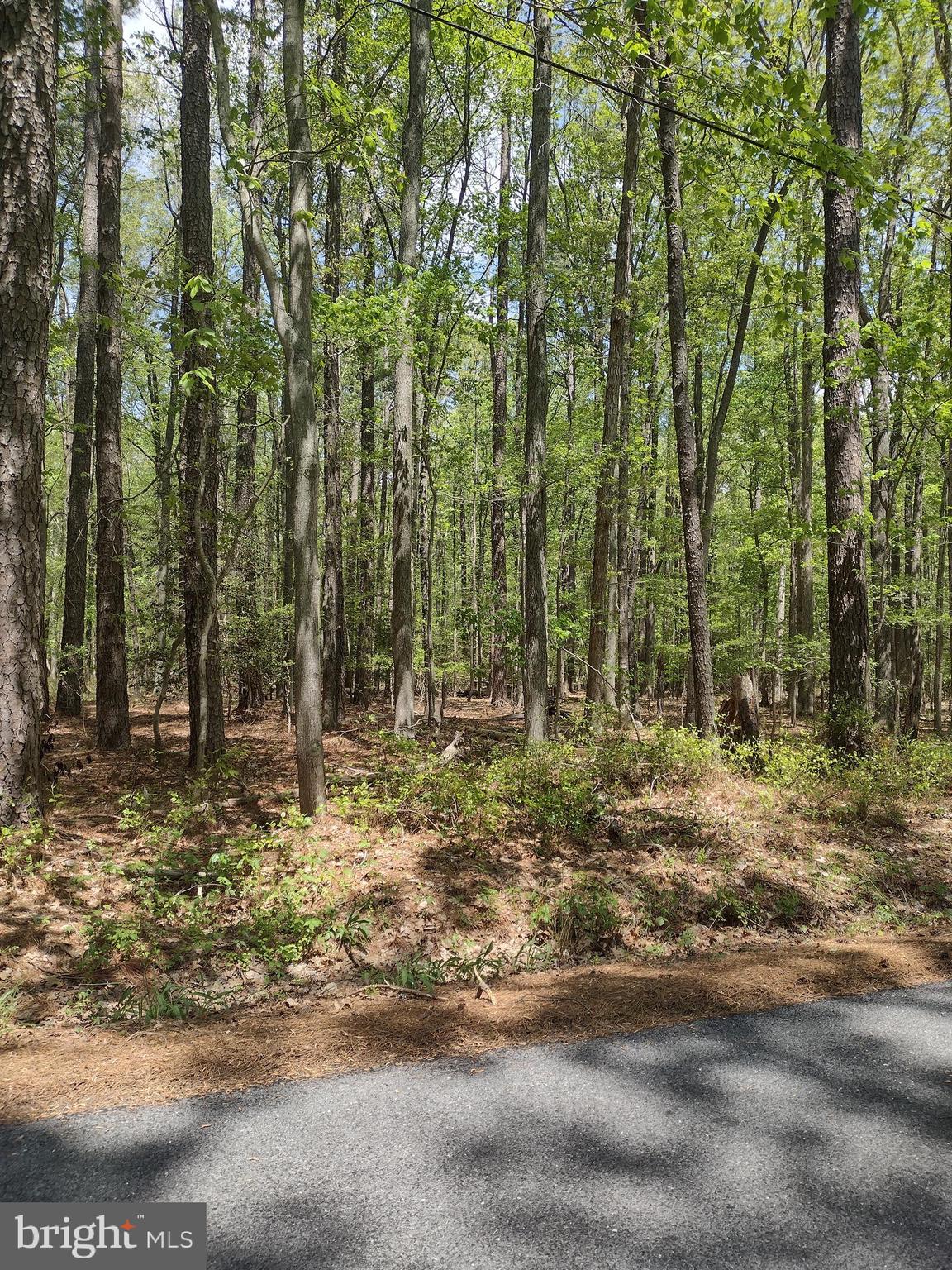 Curleys Rd Ridge Ridge, MD 20680 - Photo 4 of 19