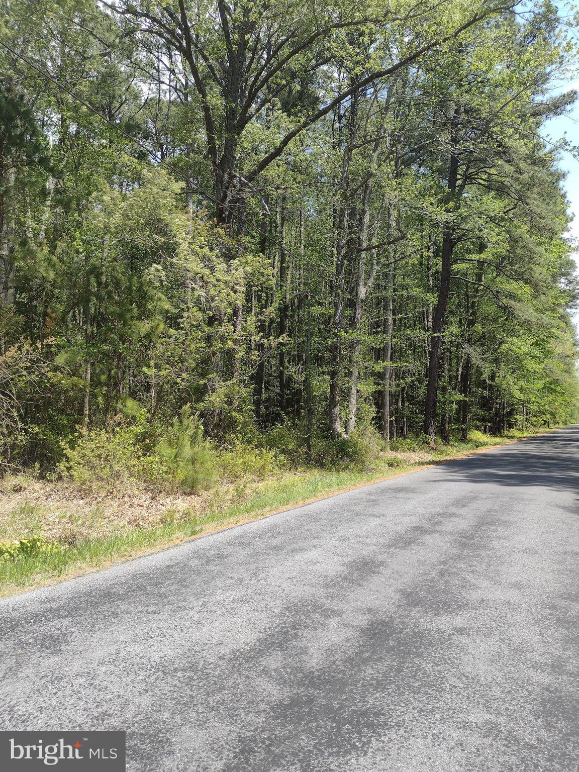Curleys Rd Ridge Ridge, MD 20680 - Photo 5 of 19