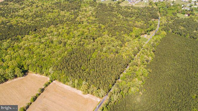 Curleys Rd Ridge Ridge, MD 20680 - Photo 10 of 19