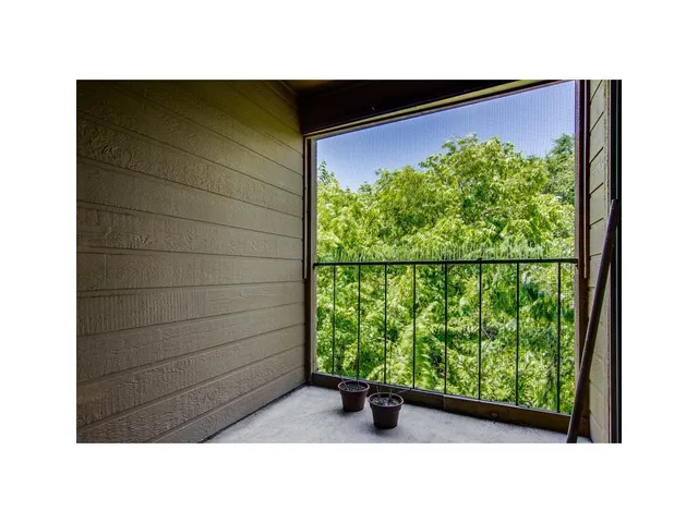 a black and white photo of a garden