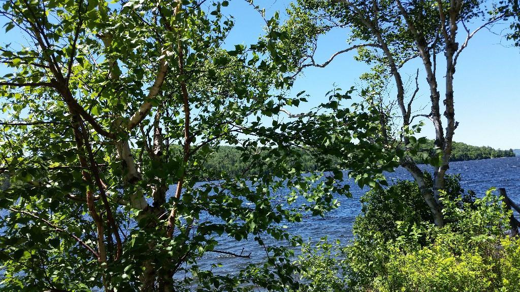 29 Salmon Ledge Road Rangeley, ME 04970 - Photo 20 of 28 Photo