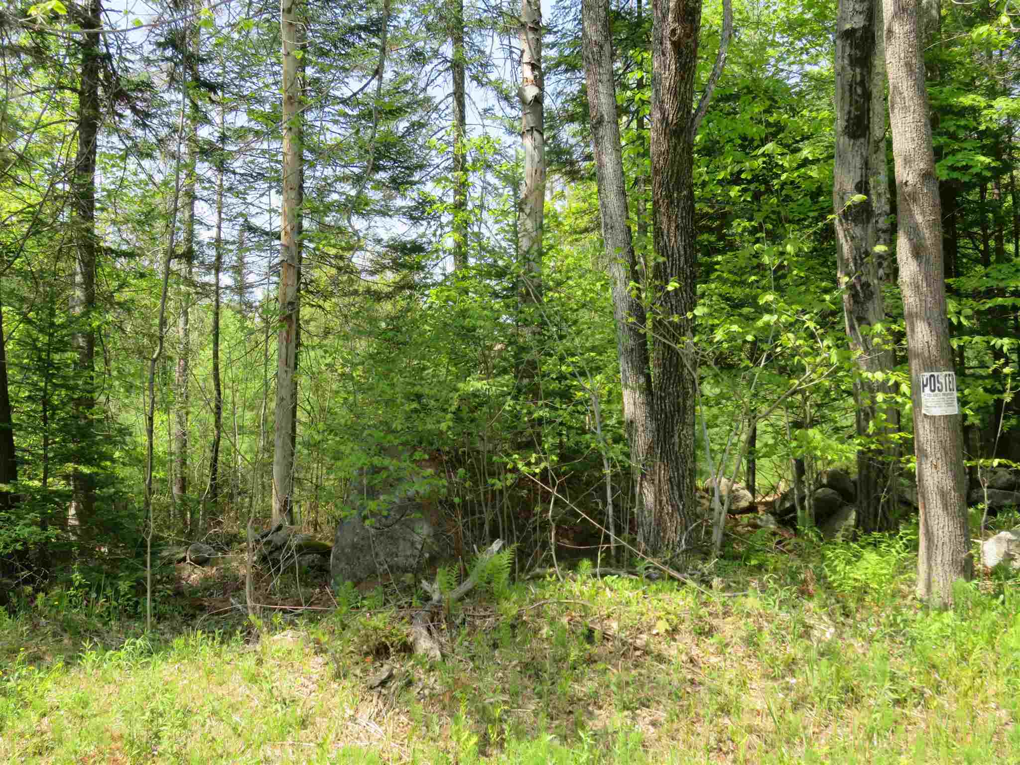 South Road Canaan, NH 03741 - Photo 15 of 15