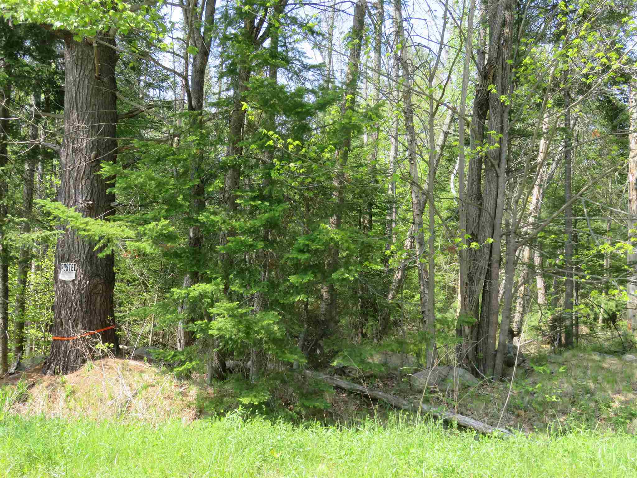 South Road Canaan, NH 03741 - Photo 3 of 15