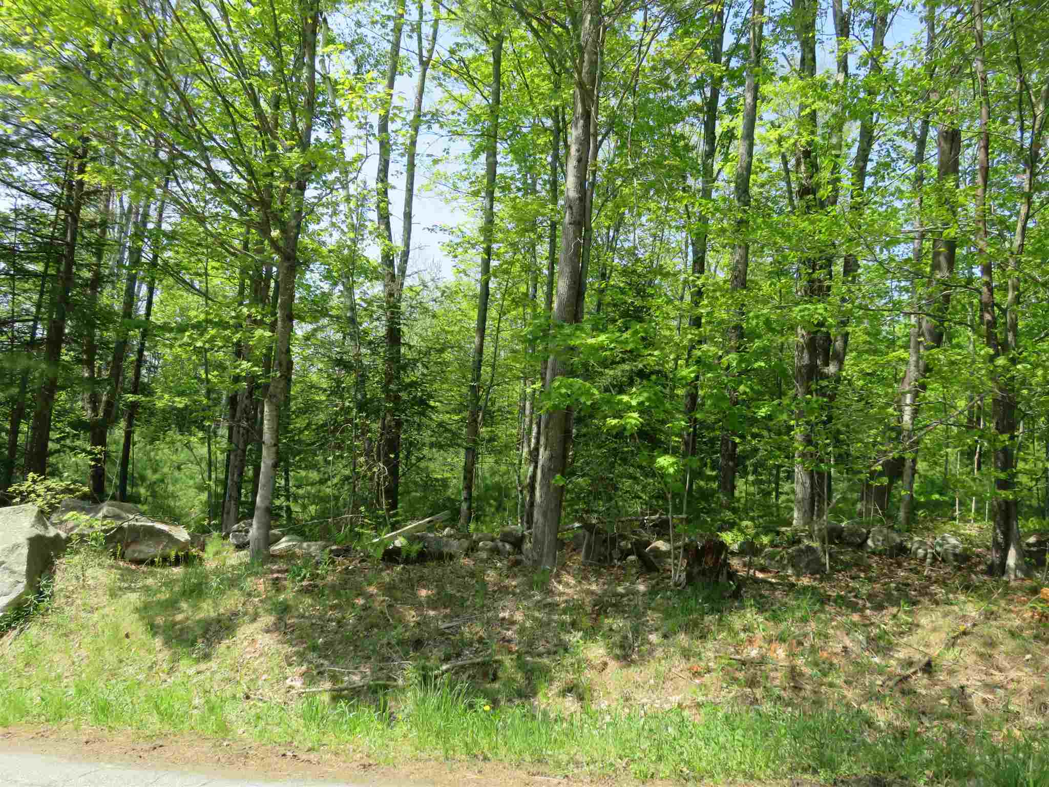 South Road Canaan, NH 03741 - Photo 5 of 15