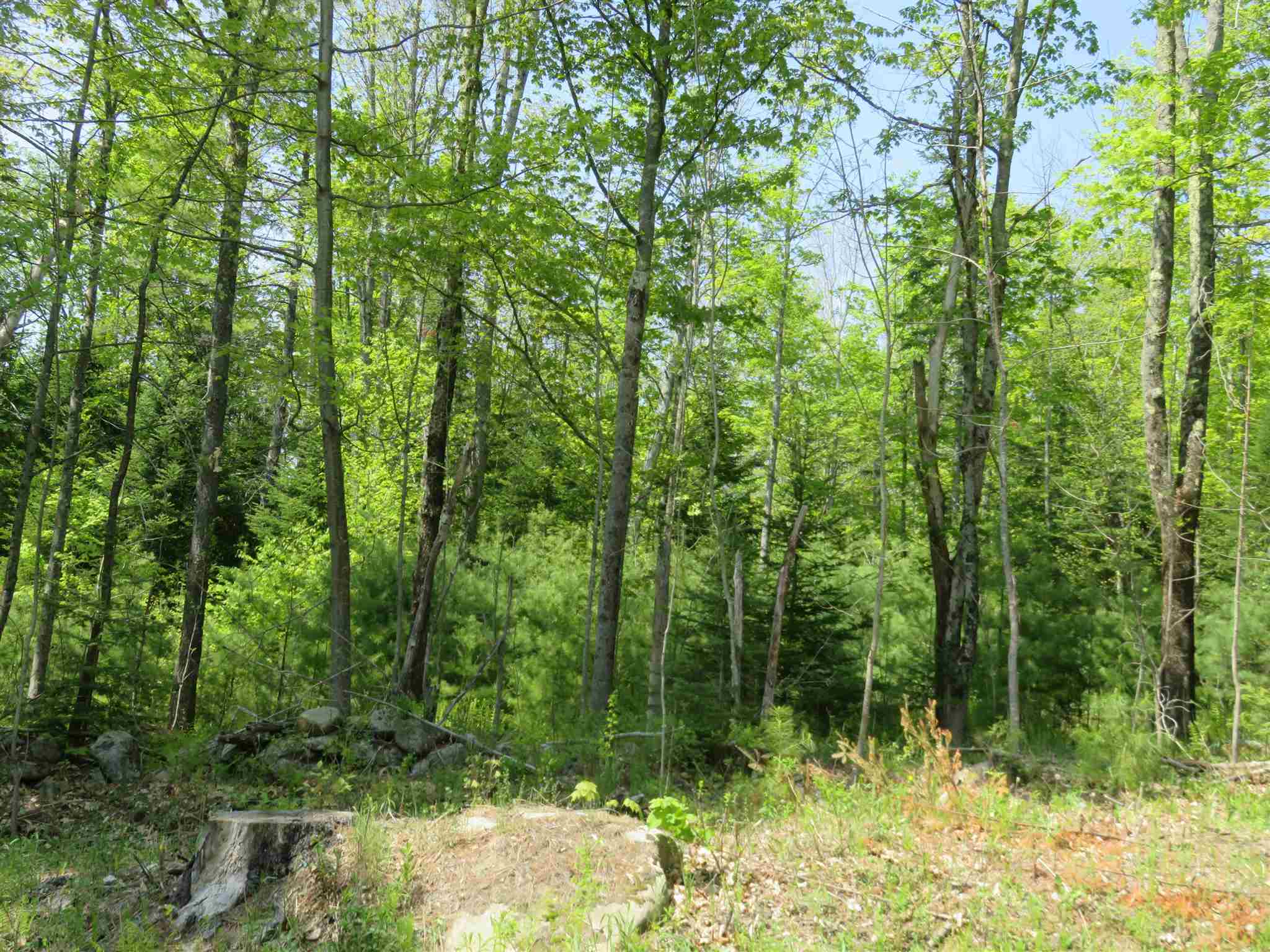 South Road Canaan, NH 03741 - Photo 6 of 15