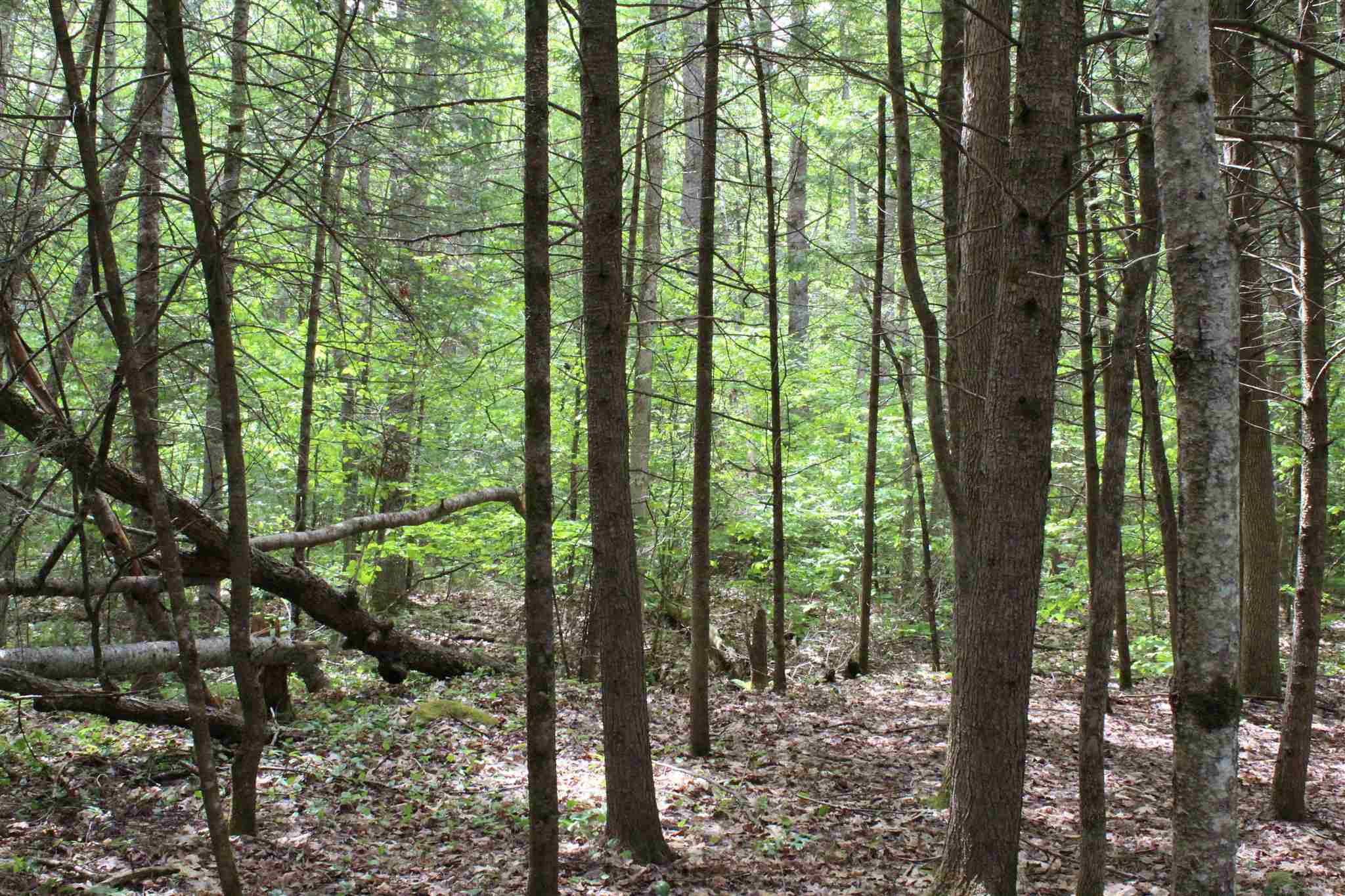 South Road Canaan, NH 03741 - Photo 8 of 15