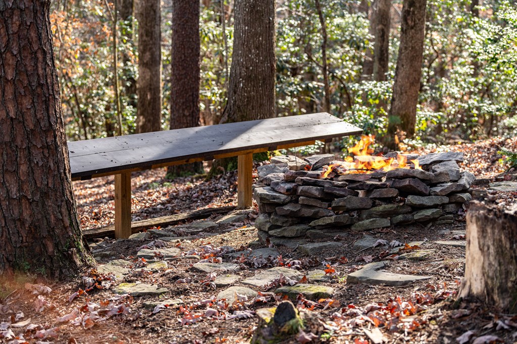986 Joann Sisson Road Blue Ridge, GA 30513 - Photo 41 of 53 Gallery Image 41