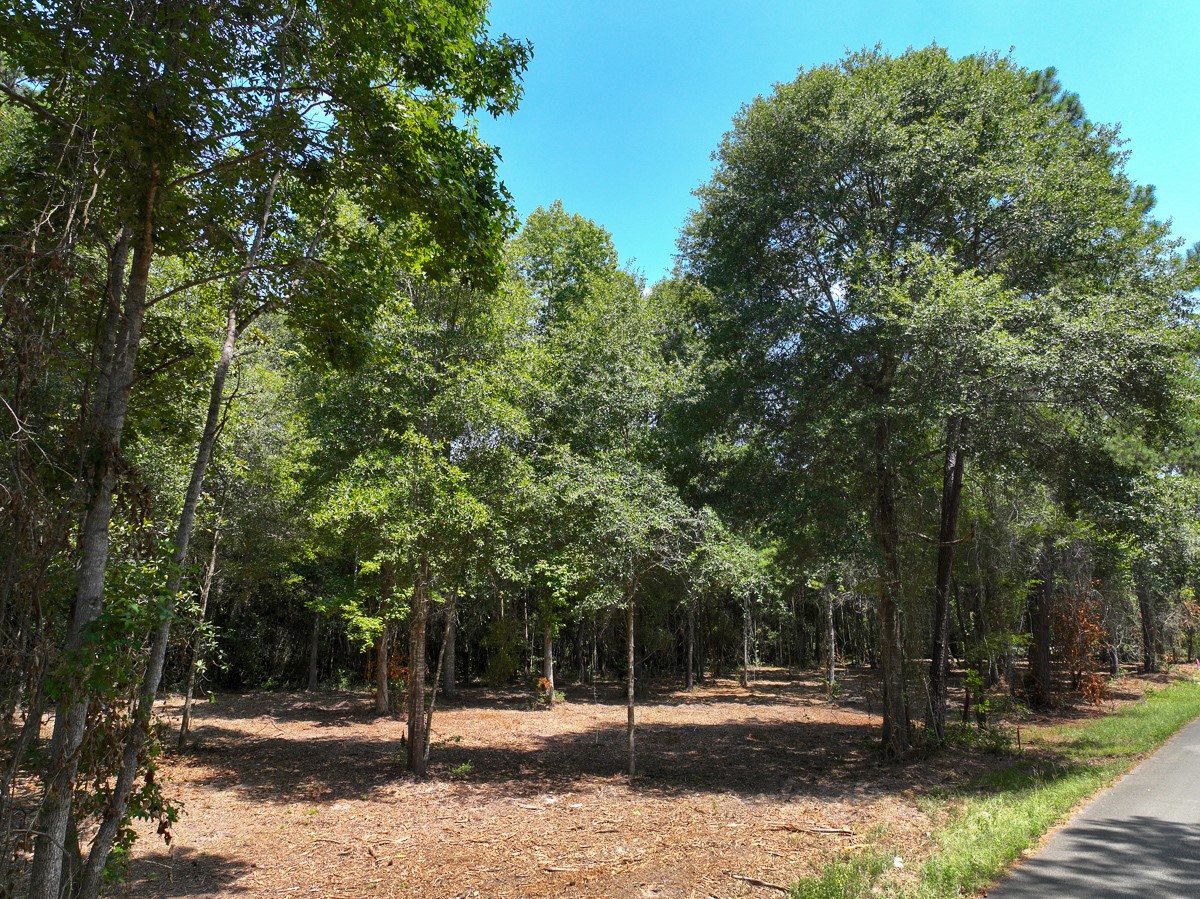 S2-l3 Lake Pool Road Shepherd, TX 77371 - Photo 5 of 8 a view of park space with trees