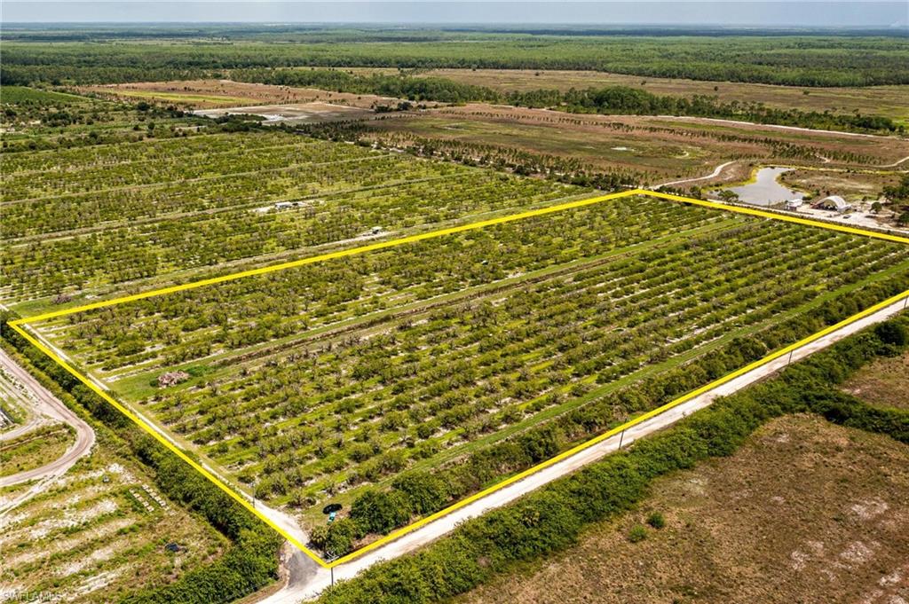 21979 Carter Road Estero, FL 33928 - Photo 8 of 15 19+ acres touching Carter Rd.
