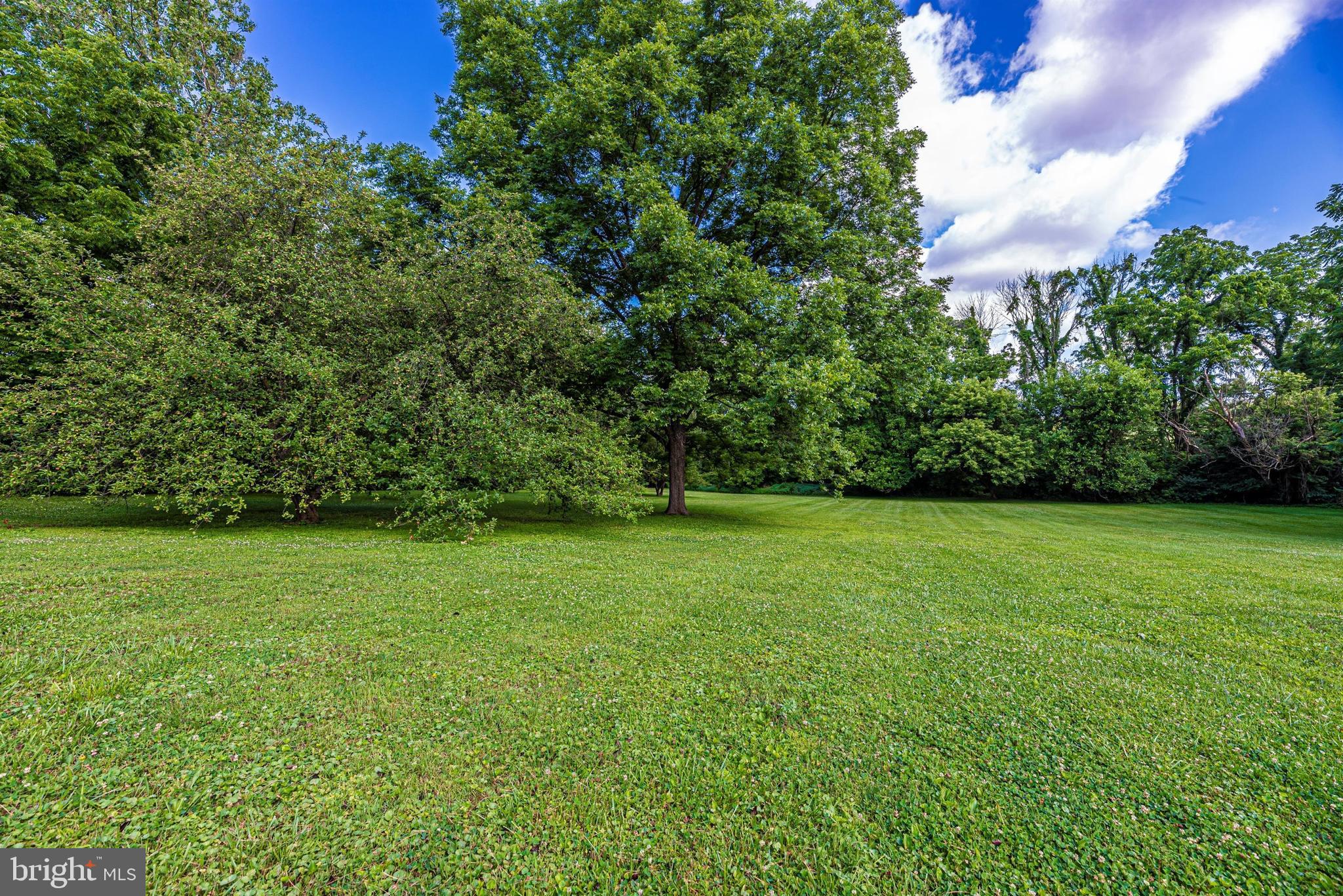 9032 Hollow Road Middletown, MD 21769 - Photo 31 of 36 Gallery Image 31