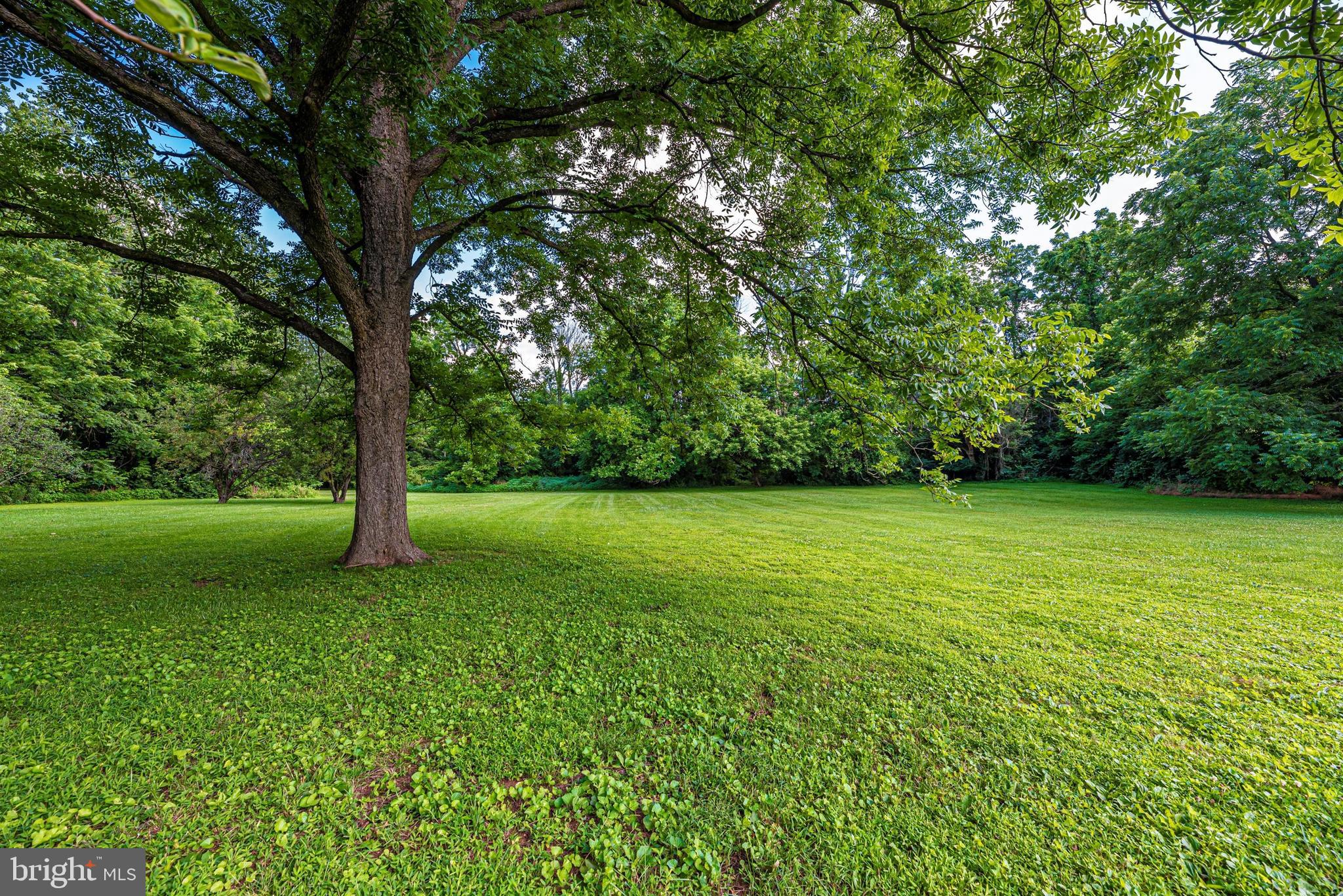 9032 Hollow Road Middletown, MD 21769 - Photo 32 of 36 Gallery Image 32