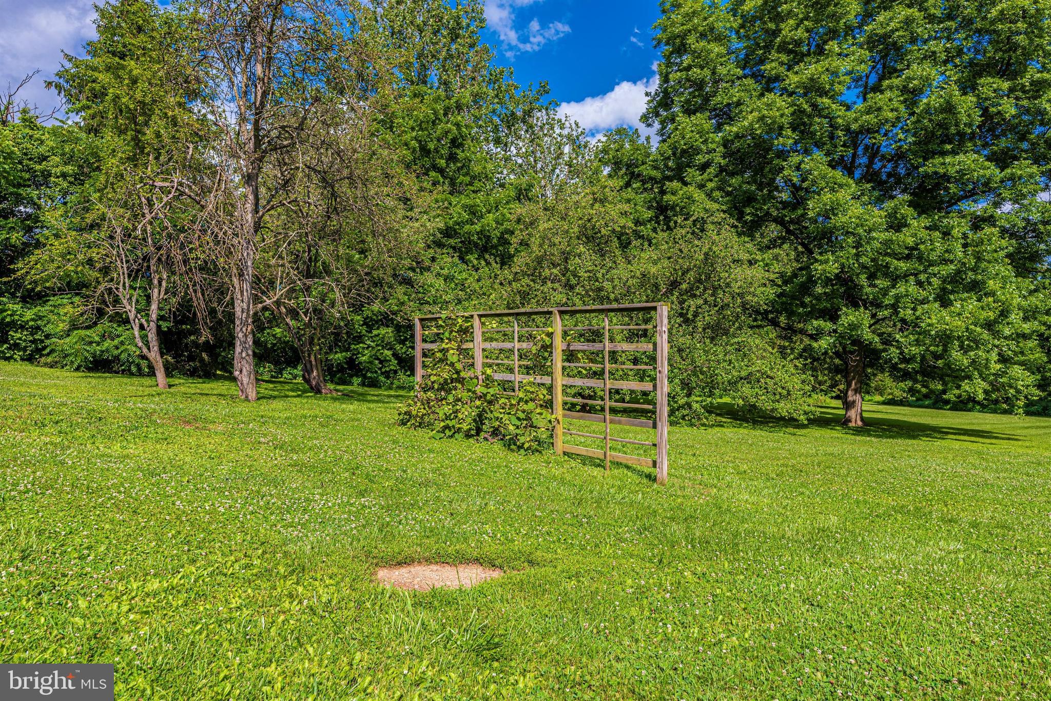 9032 Hollow Road Middletown, MD 21769 - Photo 33 of 36 Gallery Image 33