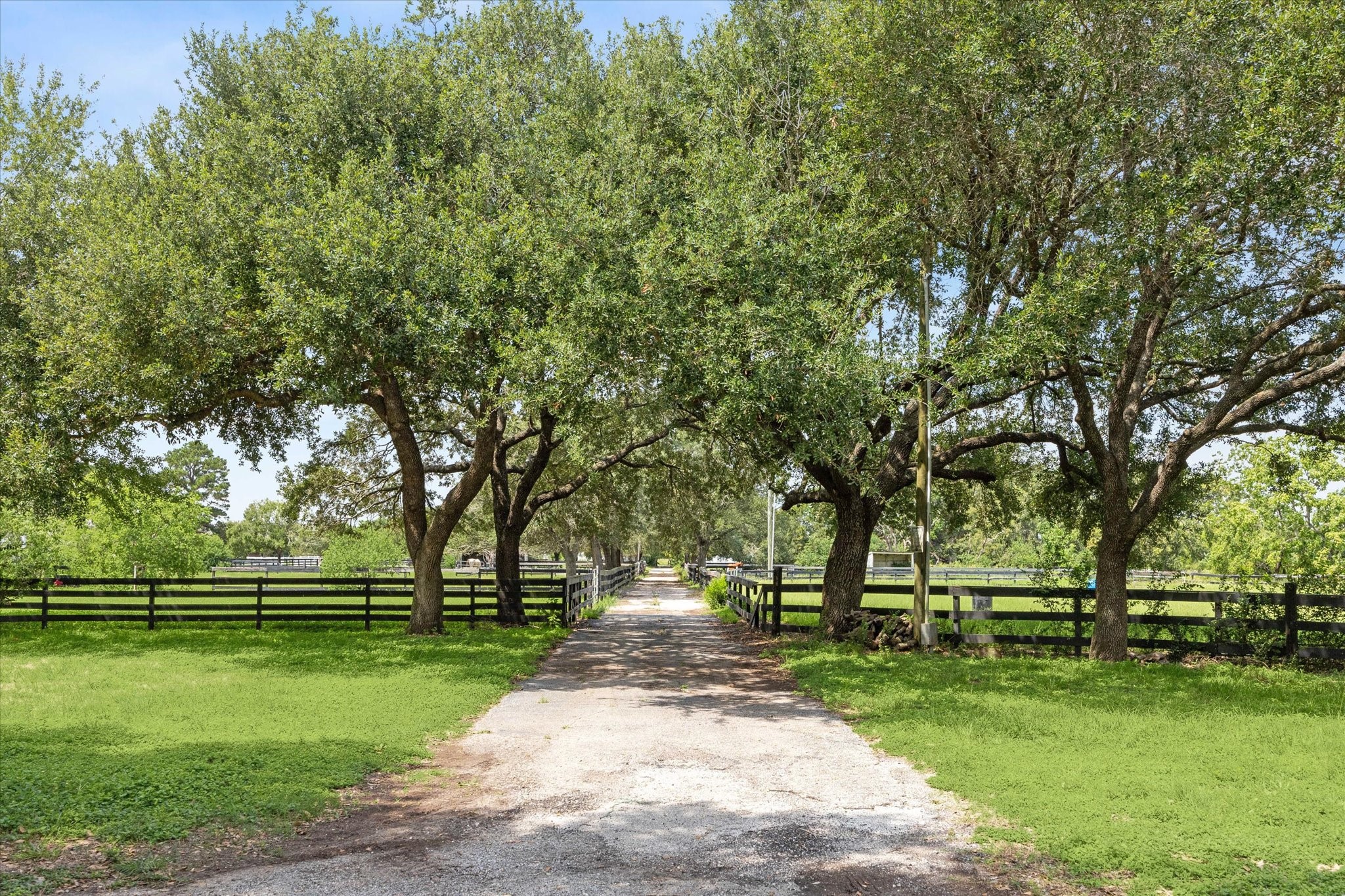 3577 Katy Hockley Road Katy, TX 77493 - Photo 38 of 50 a park with bench and trees