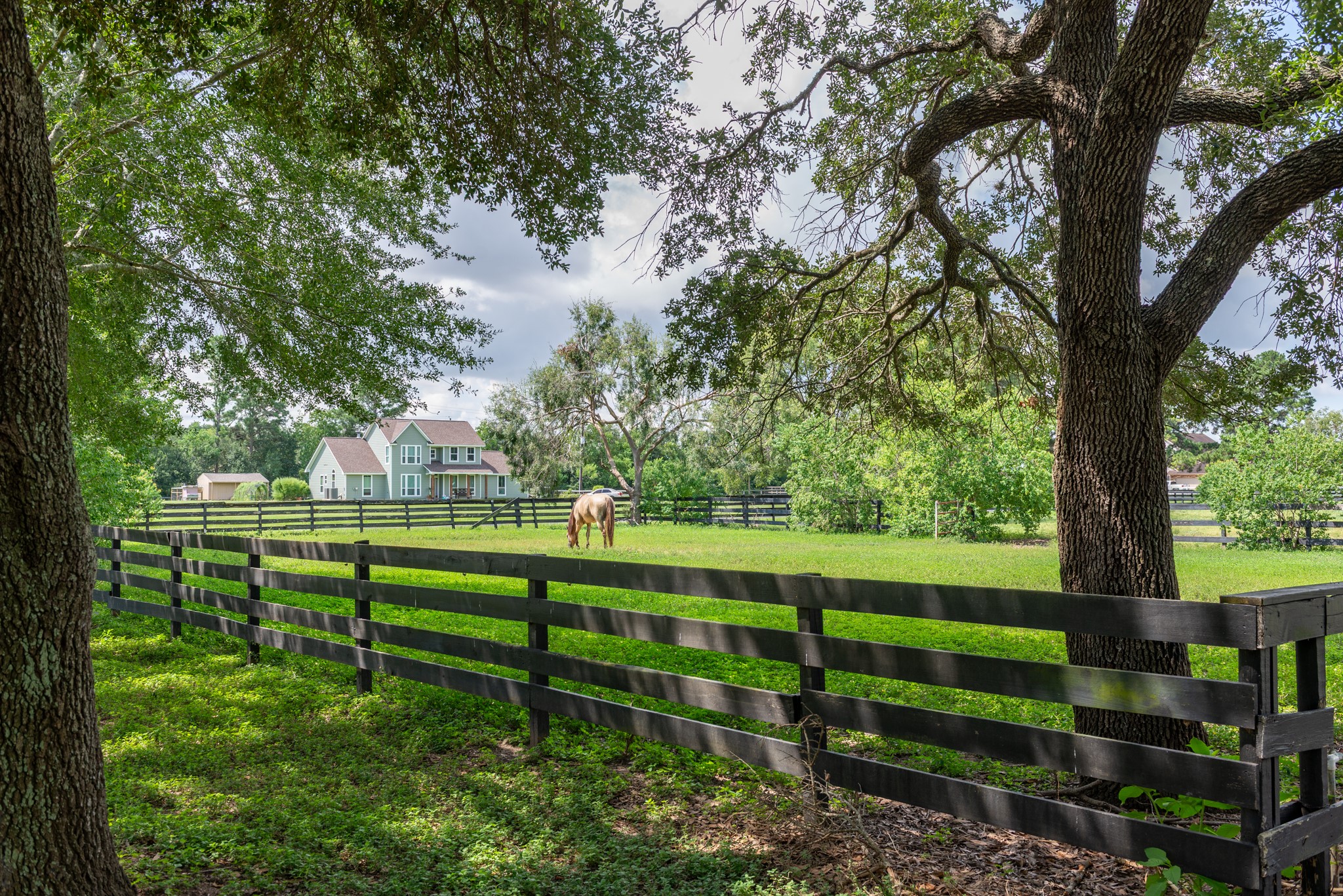 3577 Katy Hockley Road Katy, TX 77493 - Photo 43 of 50 Fenced pasture with mature trees provides a peaceful setting for horses to roam freely.