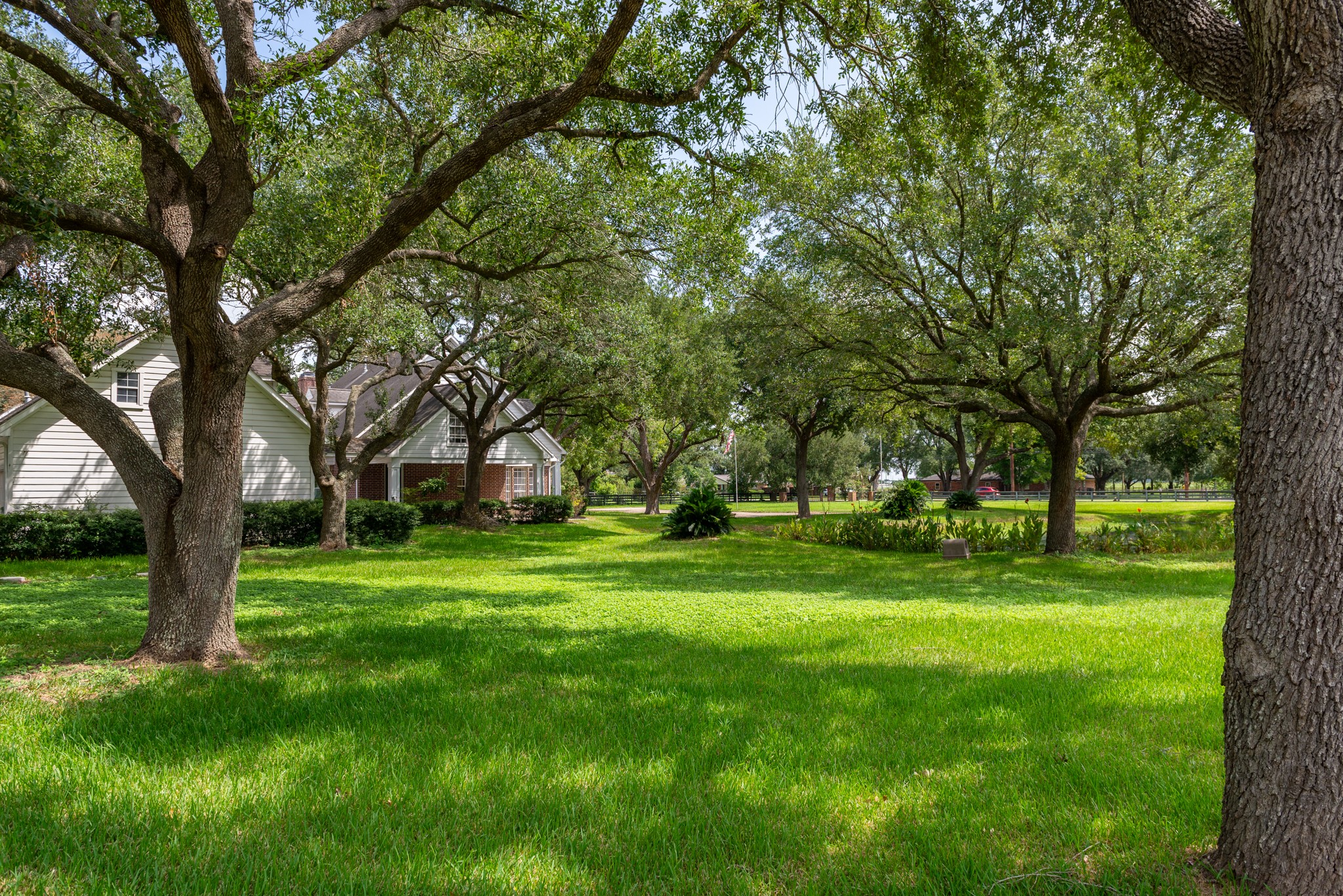 3577 Katy Hockley Road Katy, TX 77493 - Photo 5 of 50 Lush lawns shaded by towering oaks create a park-like atmosphere, offering natural beauty at every turn.