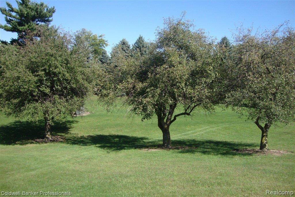 4949 Old State Road North Branch, MI 48461 - Photo 14 of 14 Old State 003.JPG