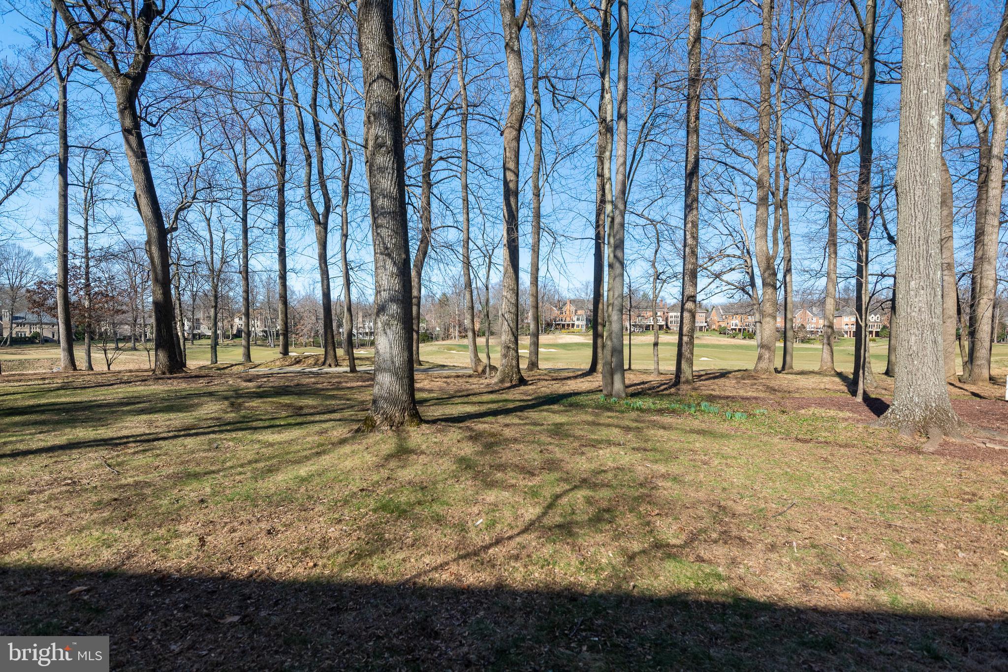 9723 Meyer Point Drive Potomac, MD 20854 - Photo 129 of 133