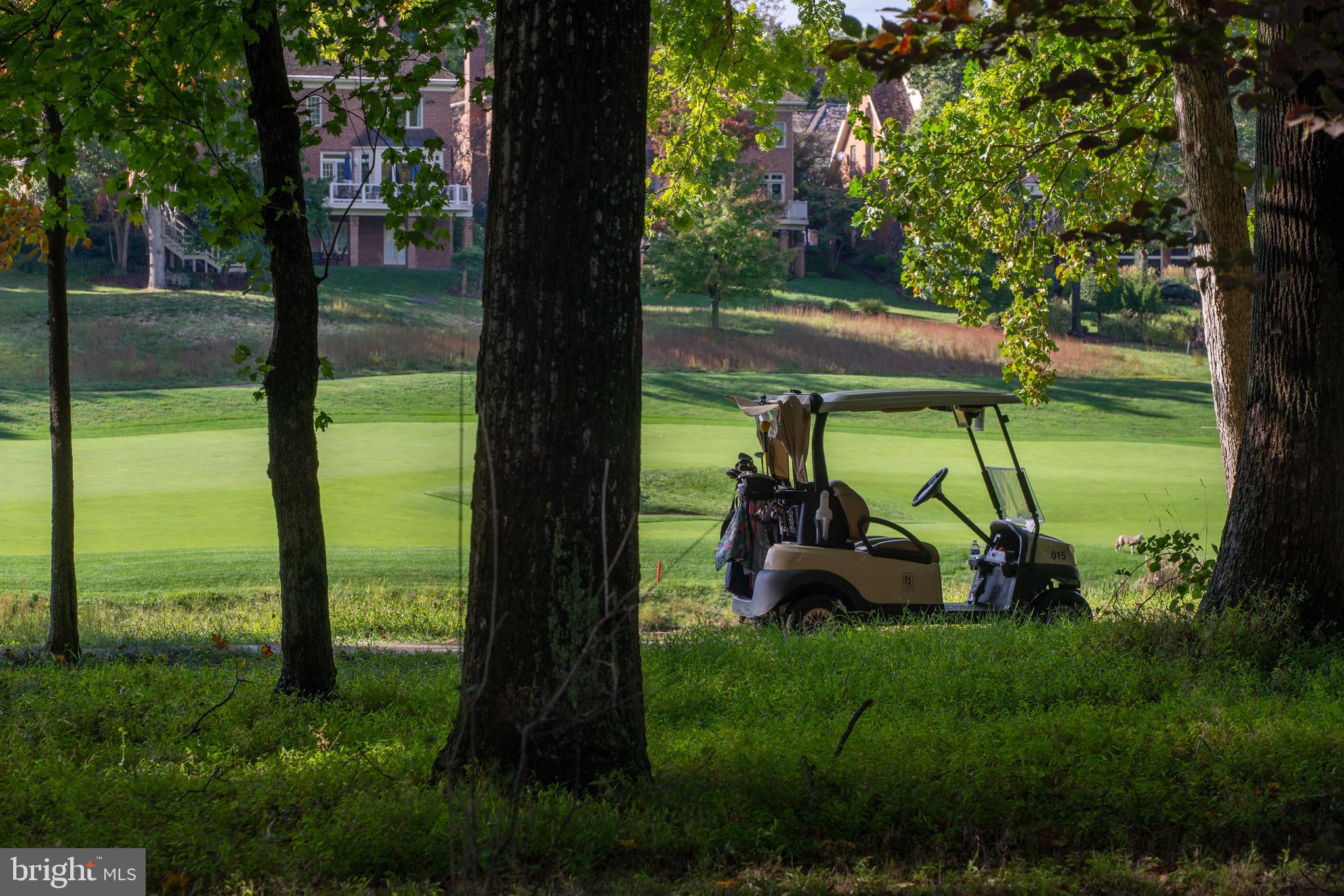 9723 Meyer Point Drive Potomac, MD 20854 - Photo 131 of 133