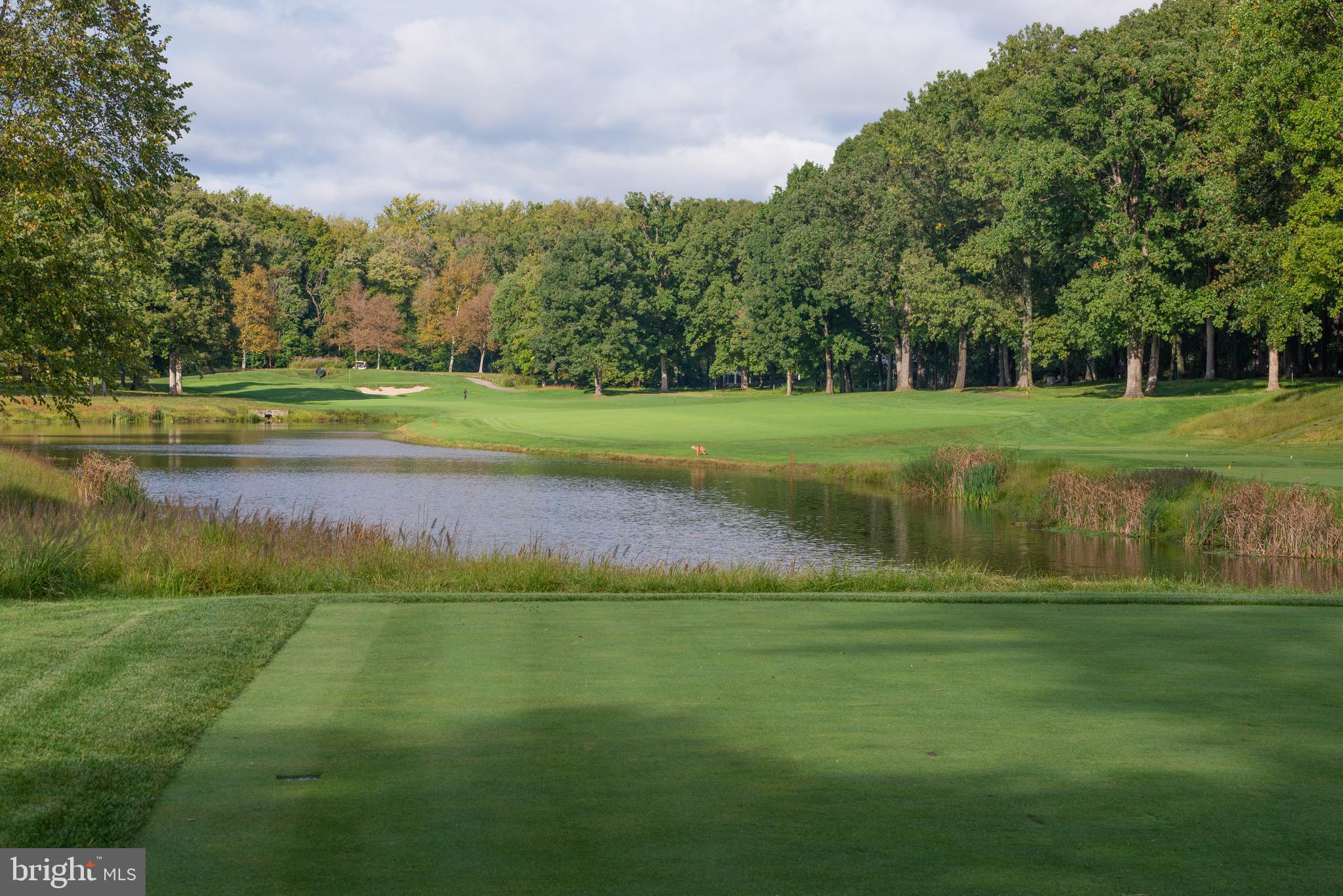 9723 Meyer Point Drive Potomac, MD 20854 - Photo 132 of 133