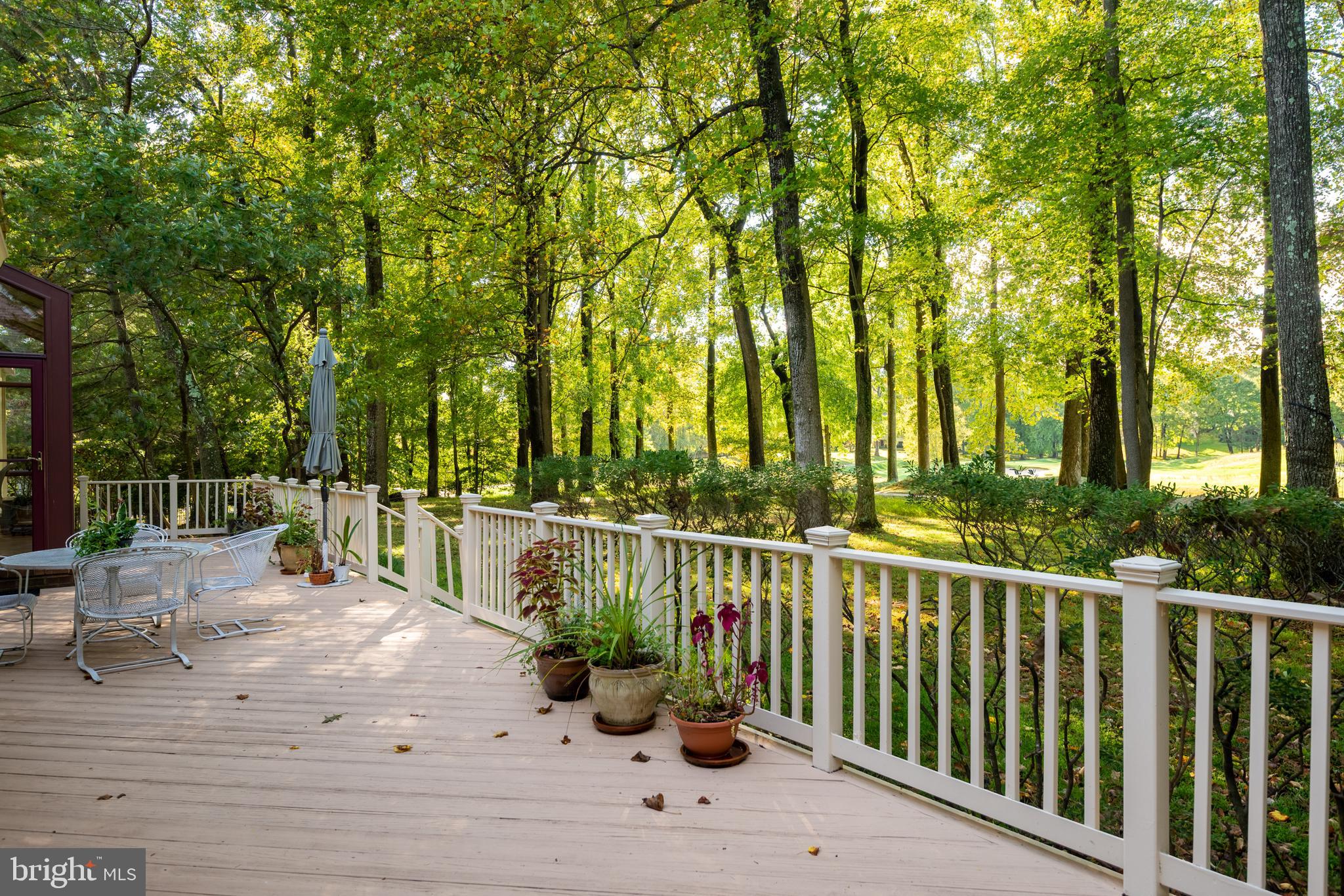 9723 Meyer Point Drive Potomac, MD 20854 - Photo 36 of 133