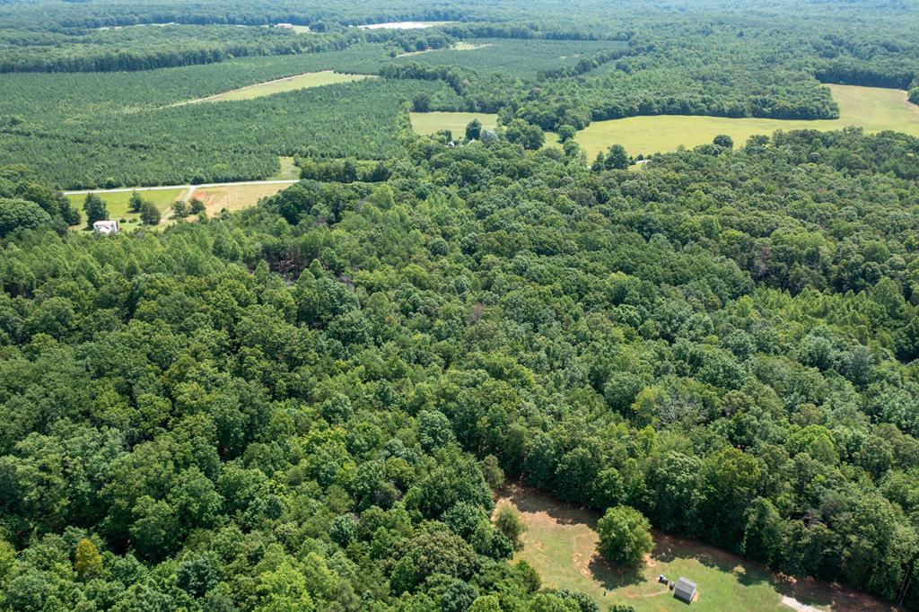 639 Elam Road Pamplin, VA 23958 - Photo 14 of 18 Gallery Image 14