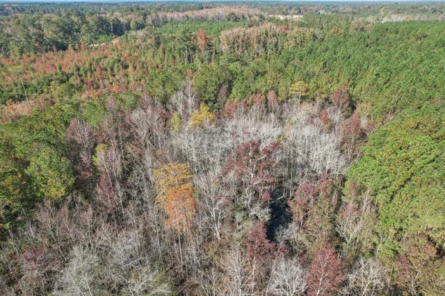 $269,990 | 672 Snapdragon Street, Cope, SC 29038