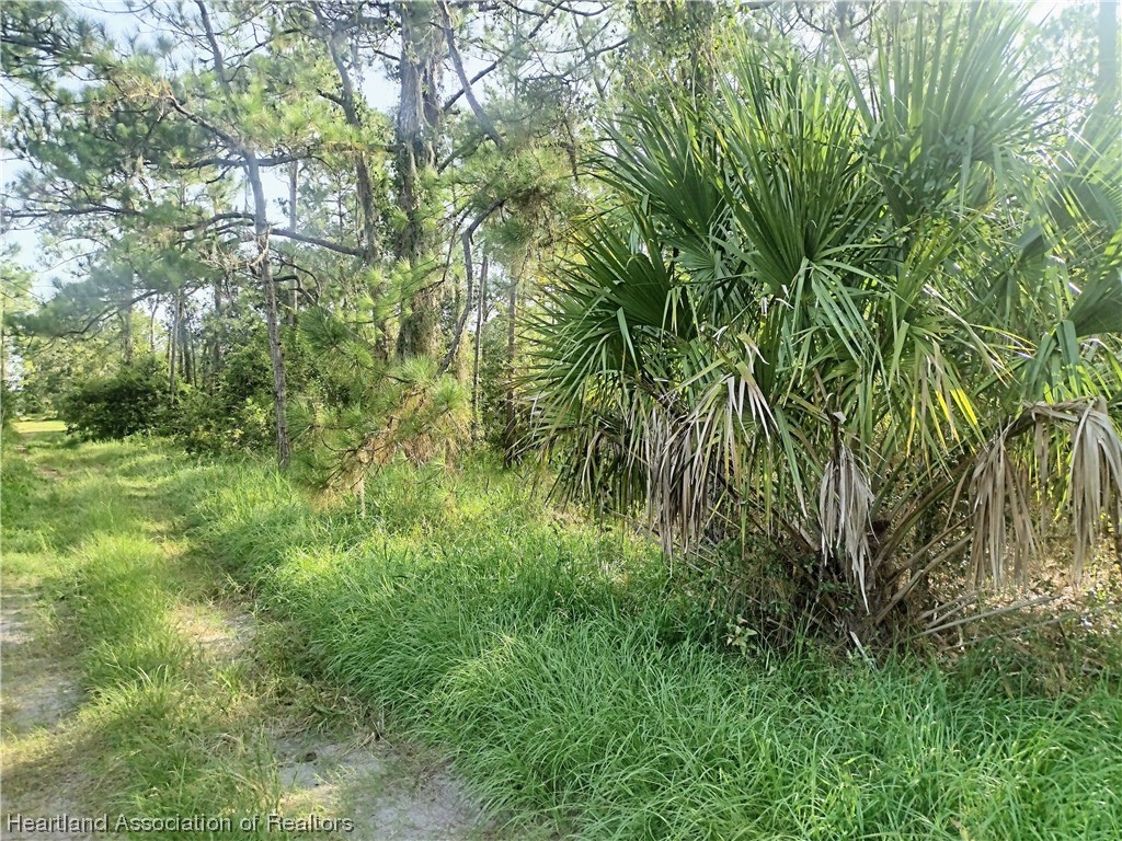 6026 Cherry Road Sebring, FL 33875 - Photo 3 of 5 Gallery Image 3