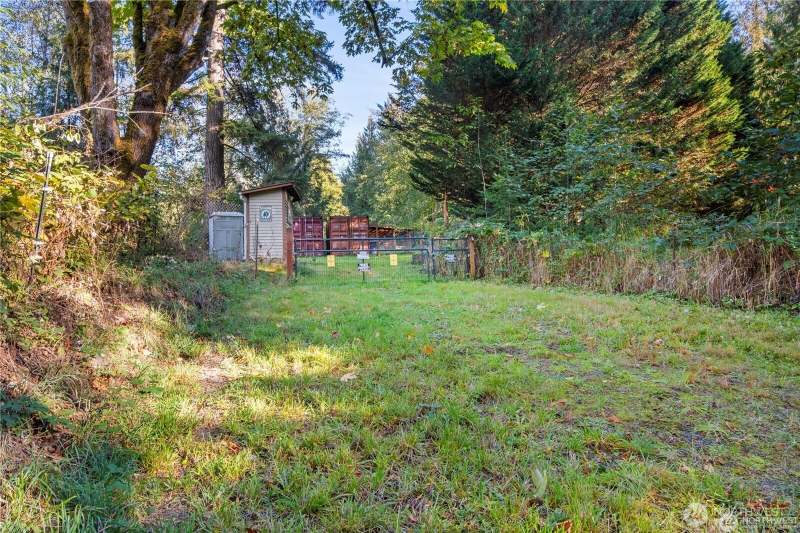 14310 200th Avenue Southeast Renton, WA 98058 - Photo 4 of 39 a backyard of a house with lots of green space