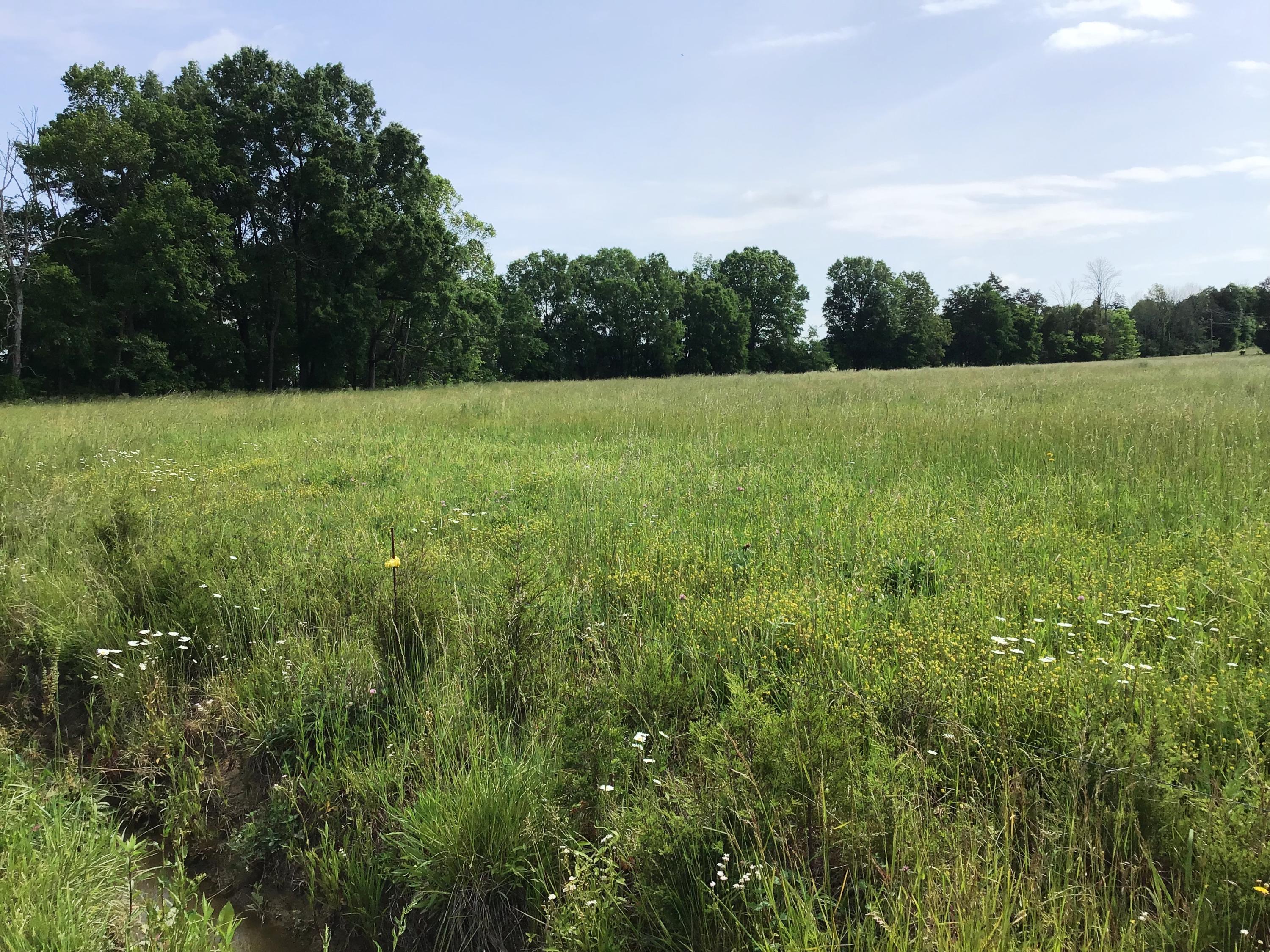 Tbd Bible Chapel Road Midway, TN 37809 - Photo 11 of 20 Bibles Chapel Land AC