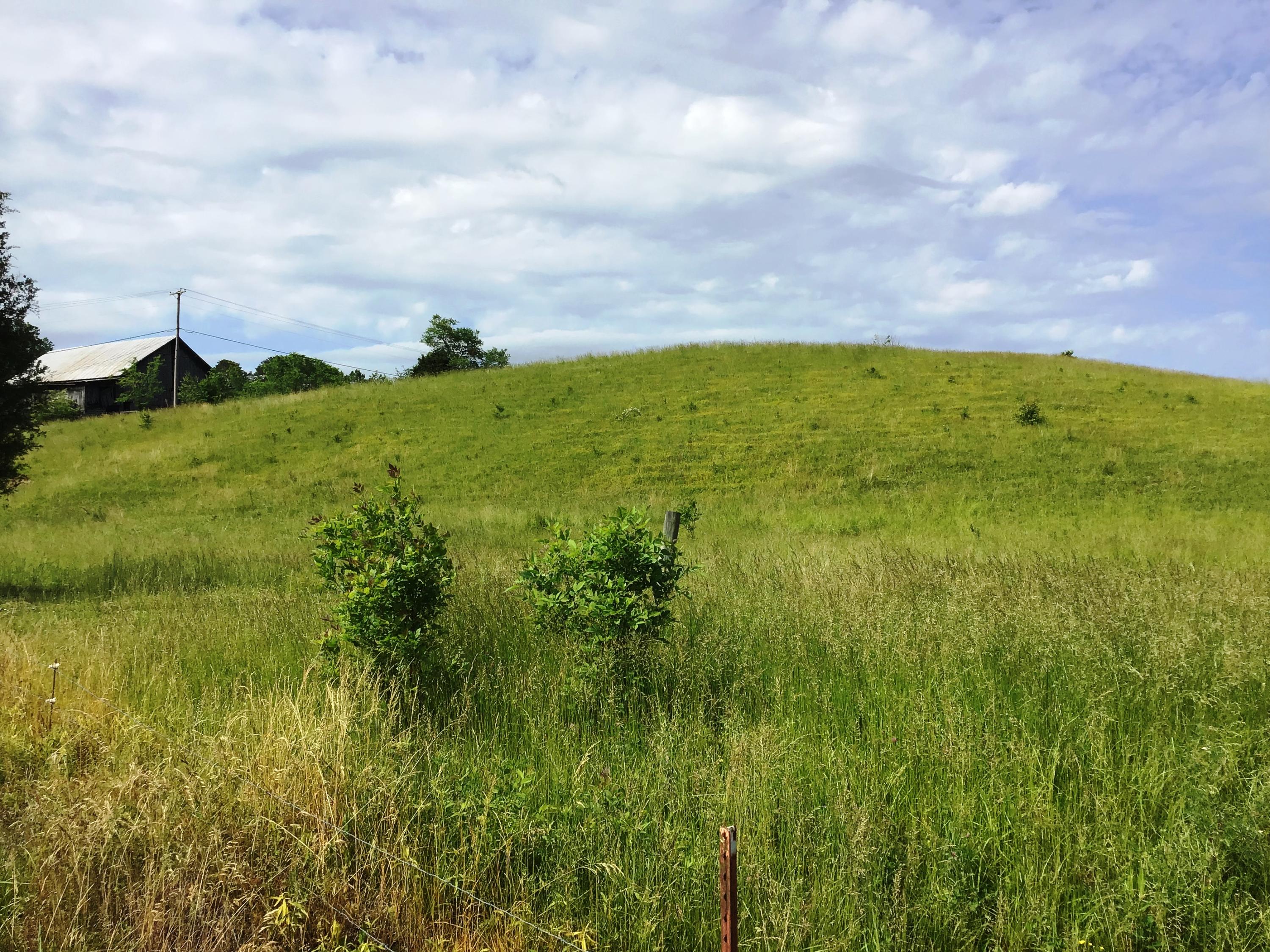 Tbd Bible Chapel Road Midway, TN 37809 - Photo 2 of 20 Bibles Chapel Land 1A