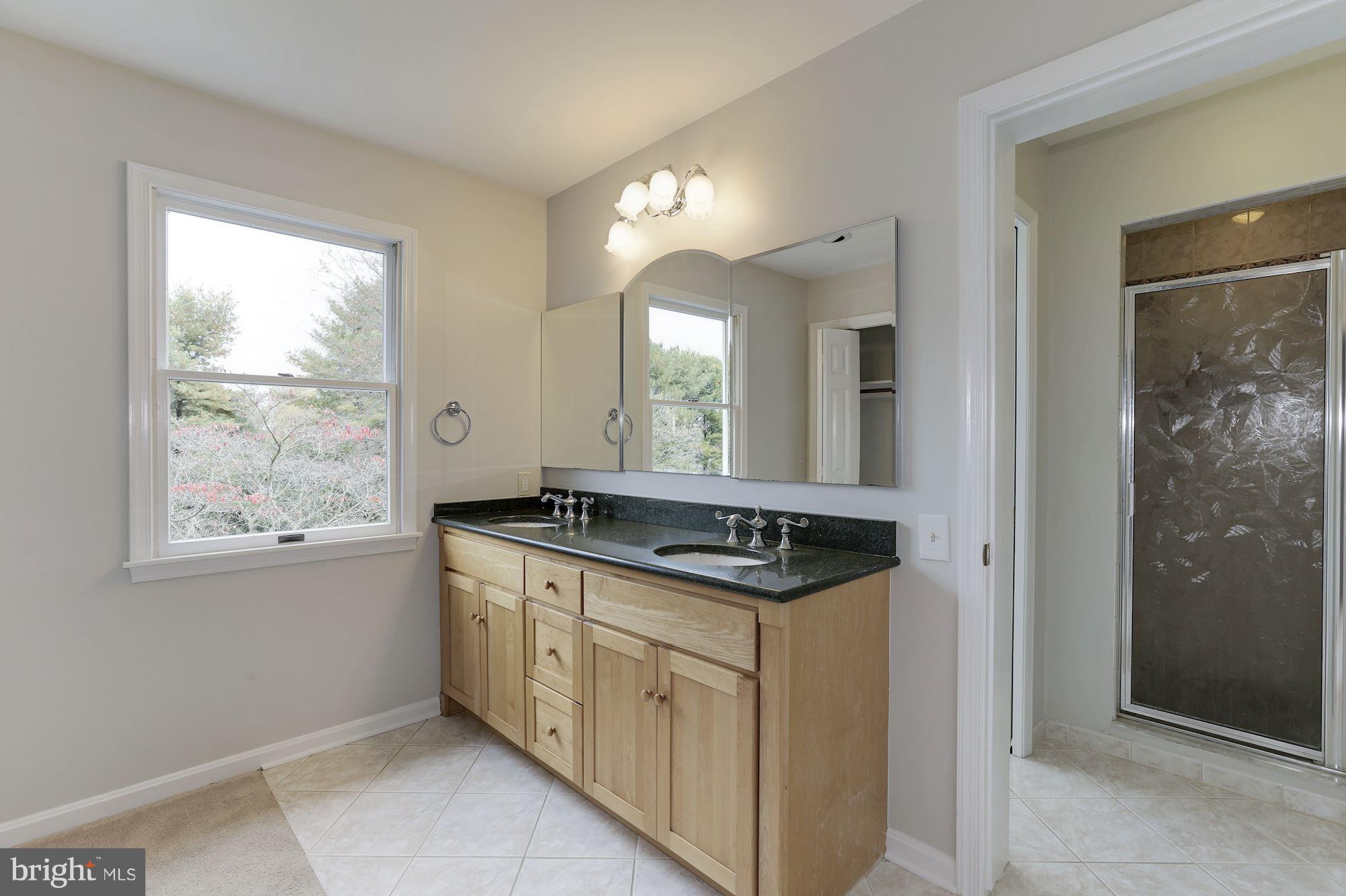 1072 Mt Airy Road Davidsonville, MD 21035 - Photo 19 of 38 En Suite Master bath.