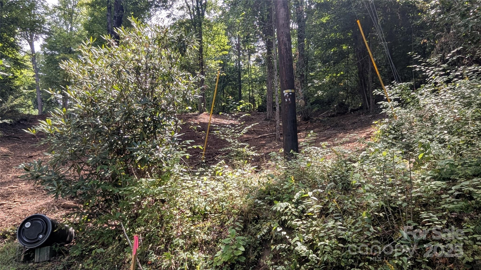 0 Apple Tree Court, Unit 2 Waynesville, NC 28786 - Photo 12 of 12 a view of a forest with trees