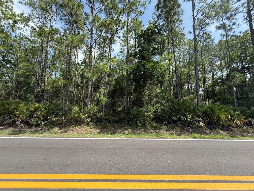 178 Millican Road Palatka, FL 32177 - Photo 3 of 6