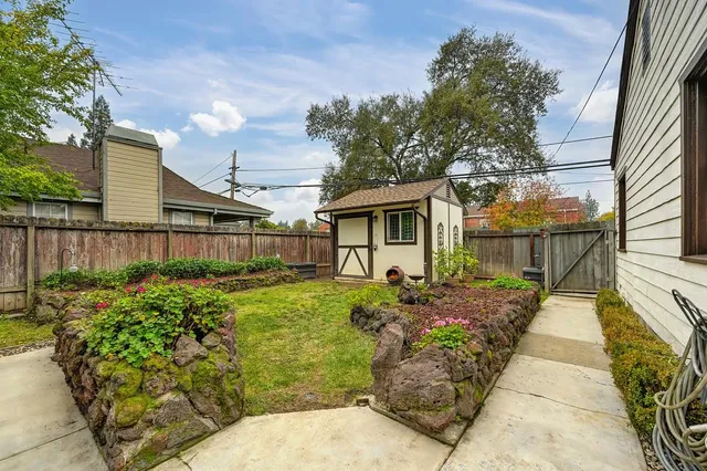 a view of a backyard with large trees and plants
