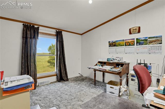 1630 North Holtwood Road Rush, CO 80833 - Photo 18 of 47 Gallery Image 18