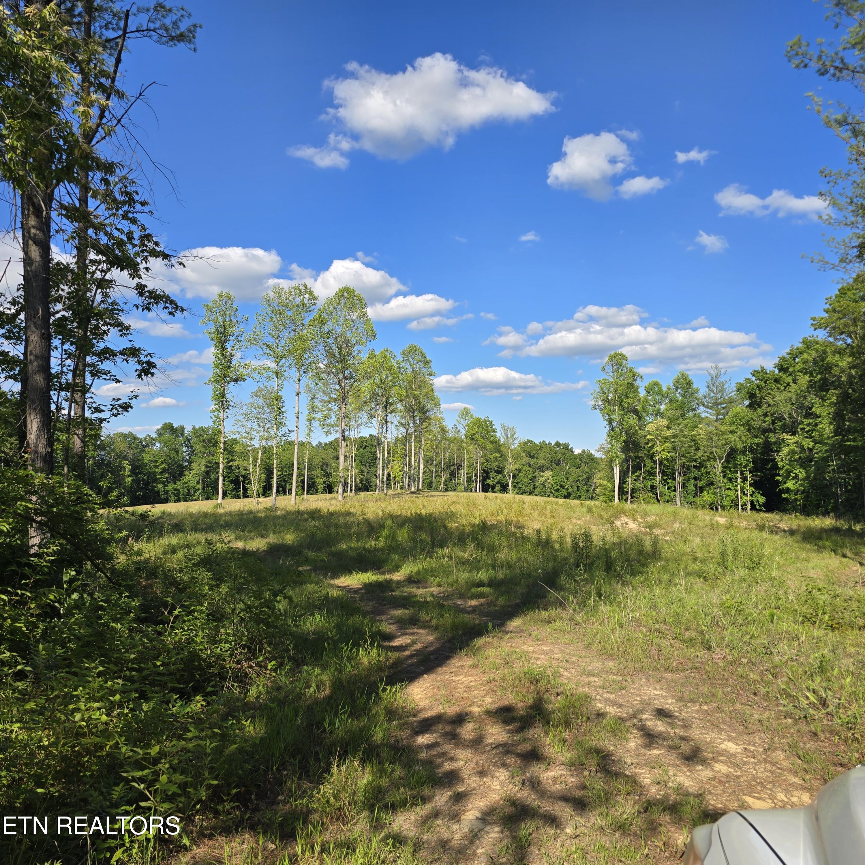 80-ac Red Hill Road Sunbright, TN 37872 - Photo 10 of 16 20260620_180223