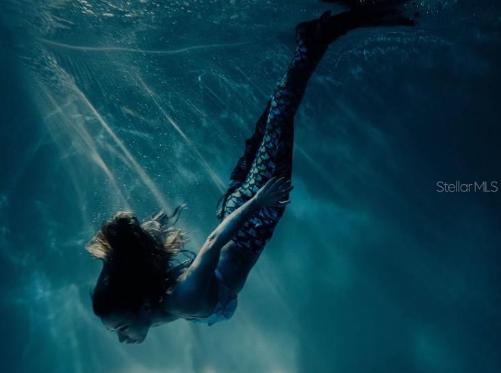 12156 Everglades Kite Road Weeki Wachee, FL 34614 - Photo 22 of 22