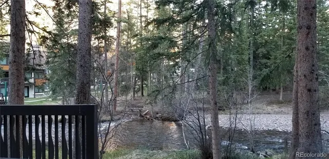 a view of a forest from a yard