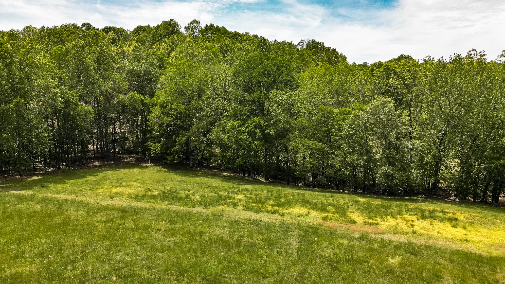 110 Womack Road Portland, TN 37148 - Photo 28 of 44 a view of a yard